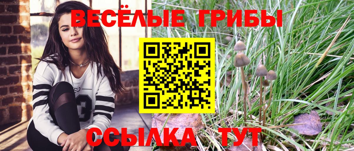 Тольятти  где купить наркоту  Вход с VPN  Псилоцибиновые грибы Psilocybe 